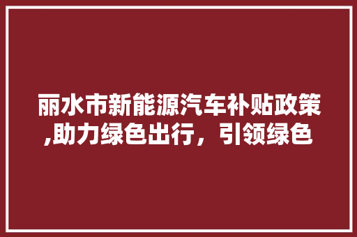 丽水市新能源汽车补贴政策,助力绿色出行，引领绿色未来