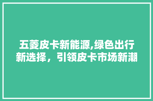 五菱皮卡新能源,绿色出行新选择，引领皮卡市场新潮流