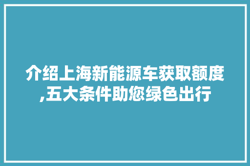 介绍上海新能源车获取额度,五大条件助您绿色出行