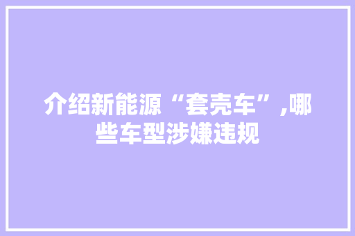 介绍新能源“套壳车”,哪些车型涉嫌违规  第1张