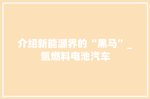介绍新能源界的“黑马”_氢燃料电池汽车  第1张