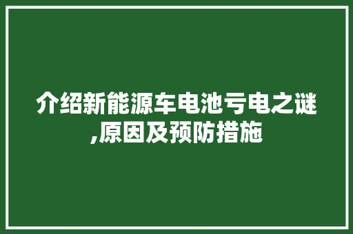 介绍新能源车电池亏电之谜,原因及预防措施  第1张