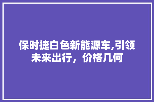 保时捷白色新能源车,引领未来出行，价格几何  第1张