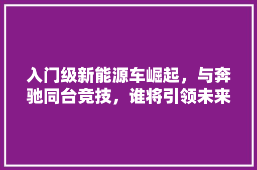入门级新能源车崛起，与奔驰同台竞技，谁将引领未来