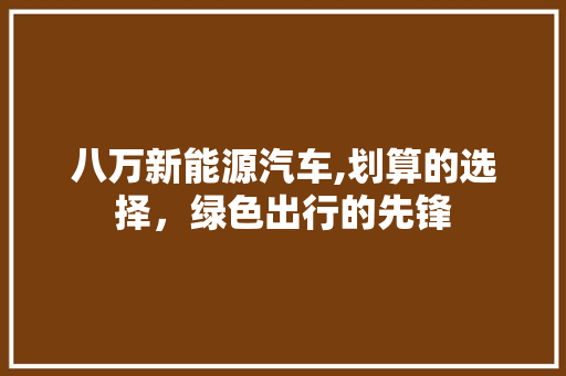 八万新能源汽车,划算的选择，绿色出行的先锋  第1张