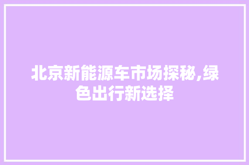北京新能源车市场探秘,绿色出行新选择  第1张