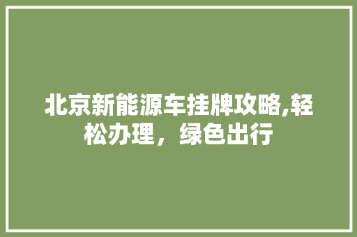 北京新能源车挂牌攻略,轻松办理，绿色出行  第1张