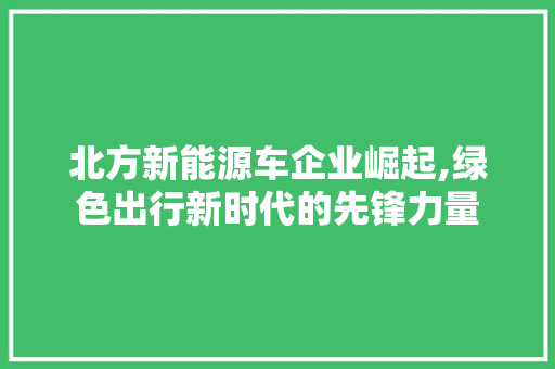 北方新能源车企业崛起,绿色出行新时代的先锋力量  第1张