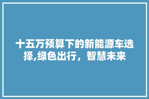 十五万预算下的新能源车选择,绿色出行，智慧未来  第1张
