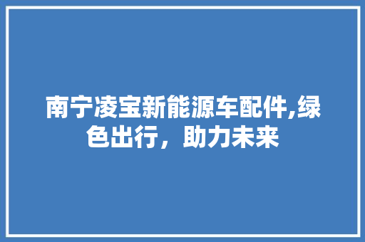 南宁凌宝新能源车配件,绿色出行，助力未来  第1张