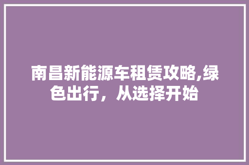 南昌新能源车租赁攻略,绿色出行，从选择开始  第1张