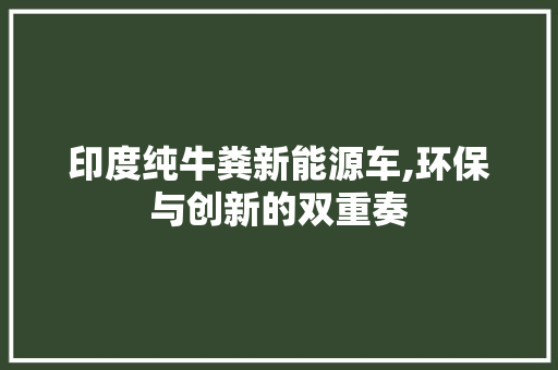 印度纯牛粪新能源车,环保与创新的双重奏  第1张