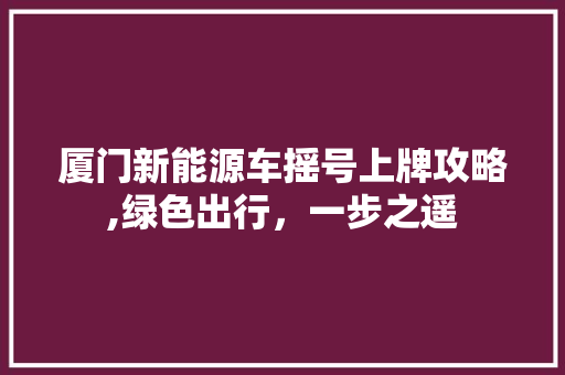 厦门新能源车摇号上牌攻略,绿色出行，一步之遥  第1张