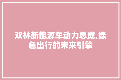 双林新能源车动力总成,绿色出行的未来引擎