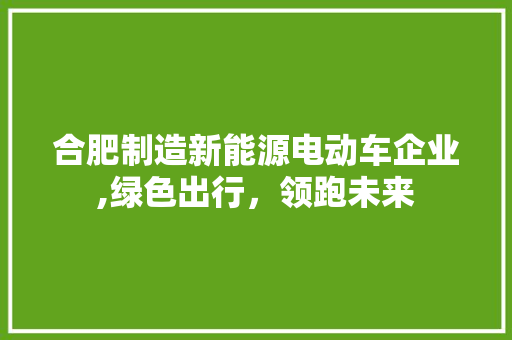 合肥制造新能源电动车企业,绿色出行，领跑未来