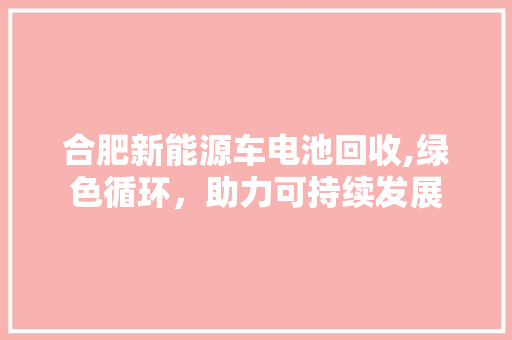 合肥新能源车电池回收,绿色循环，助力可持续发展  第1张