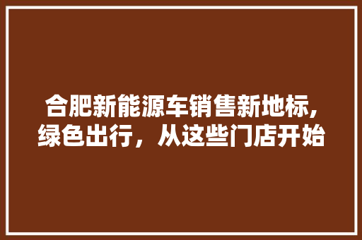 合肥新能源车销售新地标,绿色出行，从这些门店开始  第1张