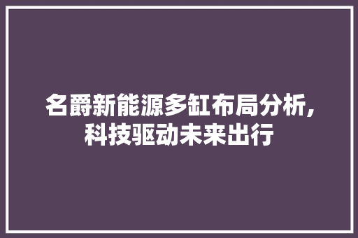 名爵新能源多缸布局分析,科技驱动未来出行