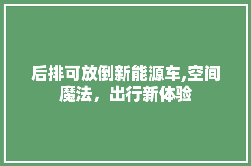 后排可放倒新能源车,空间魔法，出行新体验