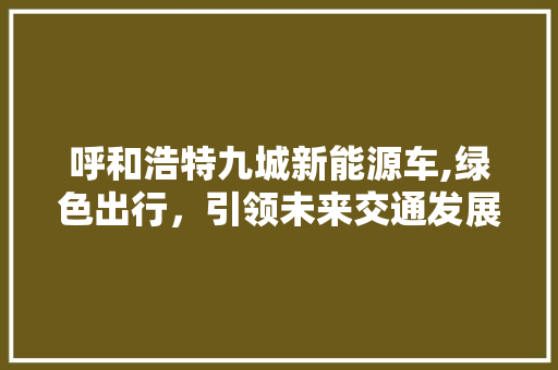 呼和浩特九城新能源车,绿色出行，引领未来交通发展