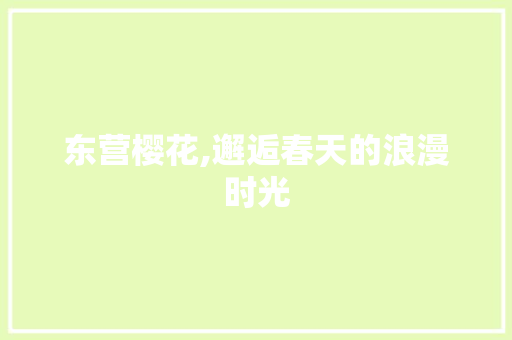 东营樱花,邂逅春天的浪漫时光  第1张