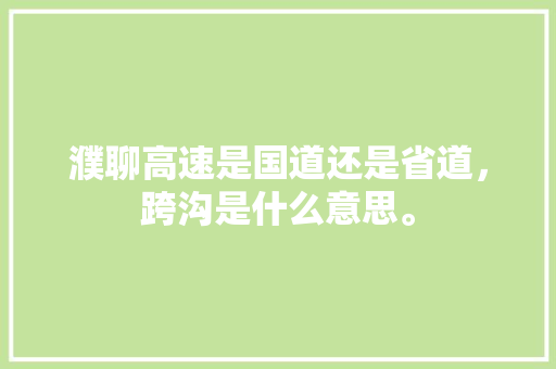 濮聊高速是国道还是省道，跨沟是什么意思。  第1张
