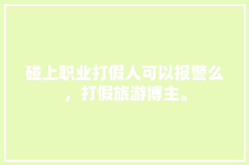 碰上职业打假人可以报警么，打假旅游博主。