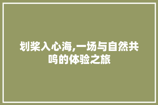划桨入心海,一场与自然共鸣的体验之旅