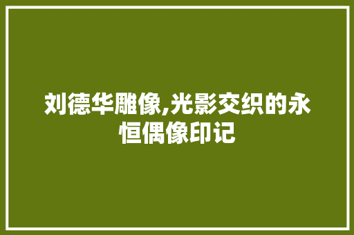 刘德华雕像,光影交织的永恒偶像印记