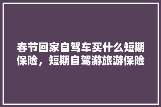 春节回家自驾车买什么短期保险，短期自驾游旅游保险怎么买。