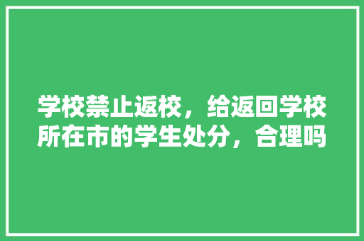 学校禁止返校，给返回学校所在市的学生处分，合理吗，疫情旅游处分决定书。