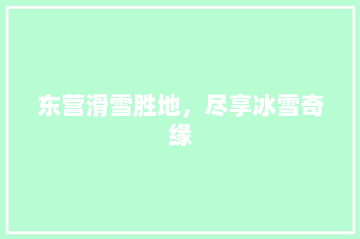 东营滑雪胜地，尽享冰雪奇缘