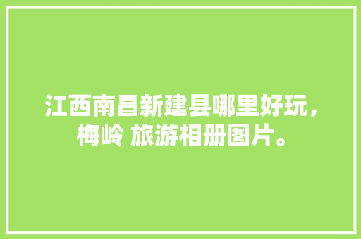 江西南昌新建县哪里好玩，梅岭 旅游相册图片。