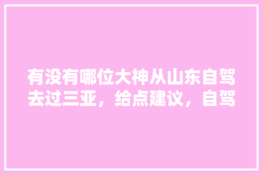 有没有哪位大神从山东自驾去过三亚，给点建议，自驾旅游挂车图片。