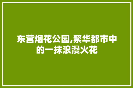 东营烟花公园,繁华都市中的一抹浪漫火花  第1张