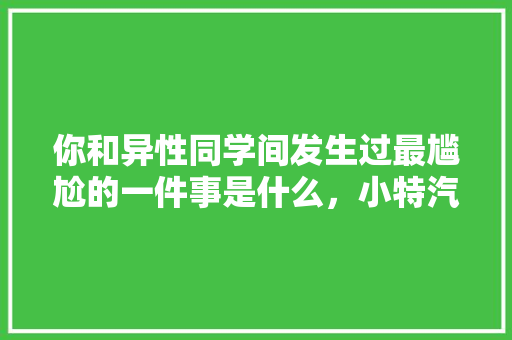 你和异性同学间发生过最尴尬的一件事是什么，小特汽车服务有限公司。