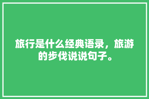 旅行是什么经典语录，旅游的步伐说说句子。  第1张
