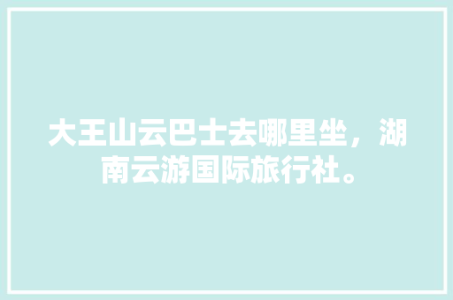 大王山云巴士去哪里坐，湖南云游国际旅行社。