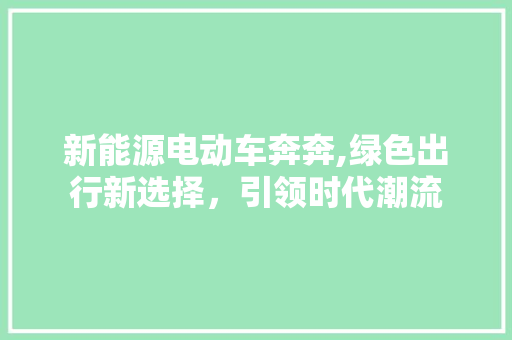 新能源电动车奔奔,绿色出行新选择，引领时代潮流