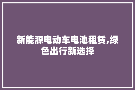 新能源电动车电池租赁,绿色出行新选择  第1张