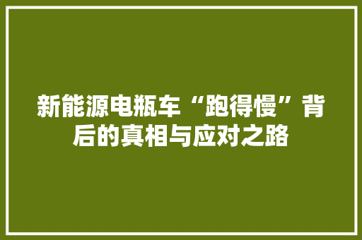 新能源电瓶车“跑得慢”背后的真相与应对之路