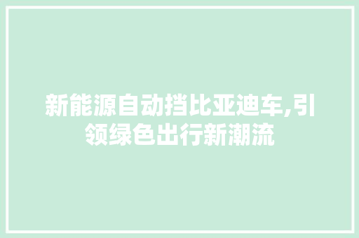 新能源自动挡比亚迪车,引领绿色出行新潮流  第1张
