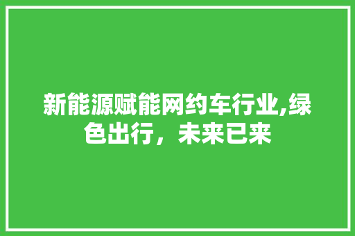新能源赋能网约车行业,绿色出行，未来已来  第1张
