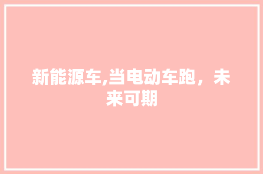 新能源车,当电动车跑，未来可期  第1张