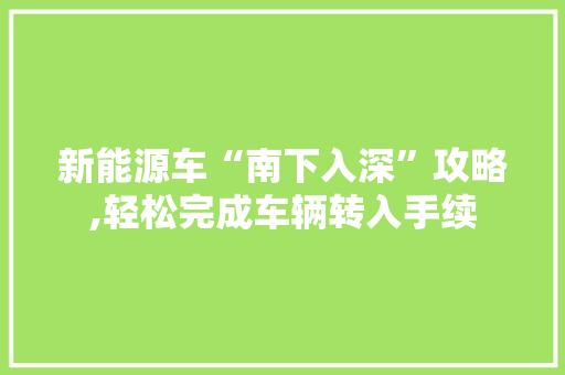 新能源车“南下入深”攻略,轻松完成车辆转入手续  第1张