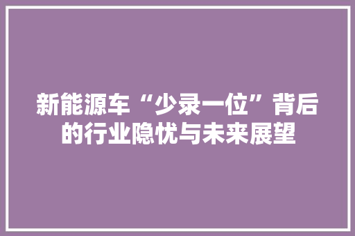 新能源车“少录一位”背后的行业隐忧与未来展望  第1张