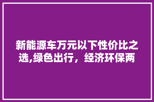 新能源车万元以下性价比之选,绿色出行，经济环保两不误  第1张