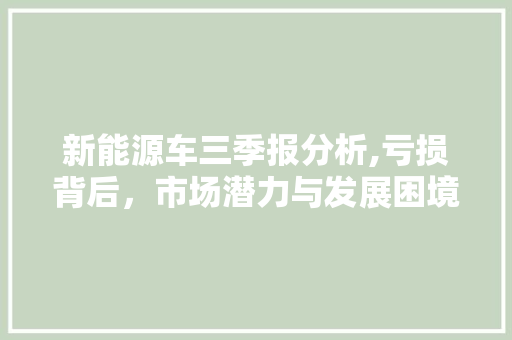新能源车三季报分析,亏损背后，市场潜力与发展困境并存  第1张