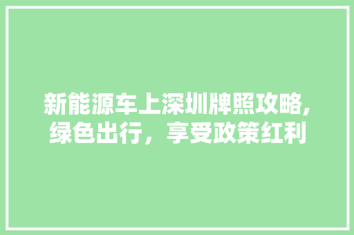 新能源车上深圳牌照攻略,绿色出行，享受政策红利  第1张