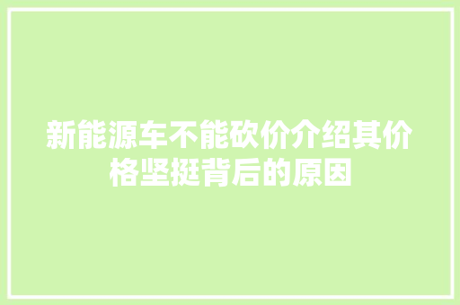 新能源车不能砍价介绍其价格坚挺背后的原因  第1张